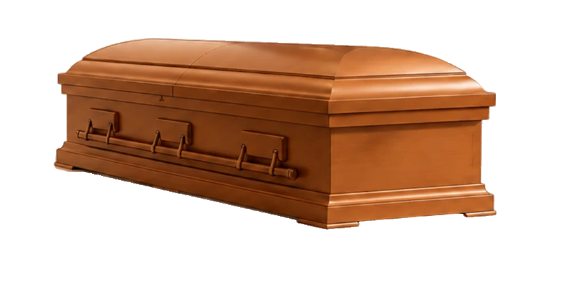 Veyora Casket 2